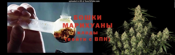 ECSTASY Липки