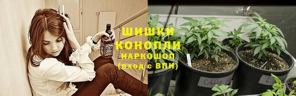 ECSTASY Липки
