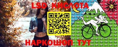гашик Краснознаменск