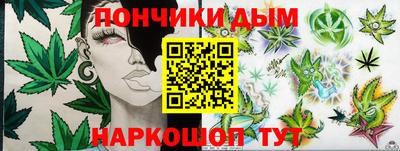 гашик Краснознаменск